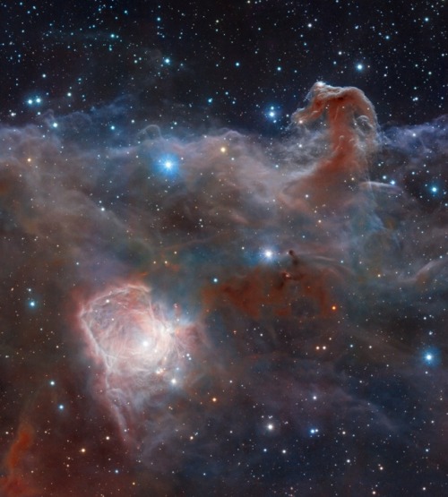 the-wolf-and-moon:Barnard 33, Horsehead Nebula