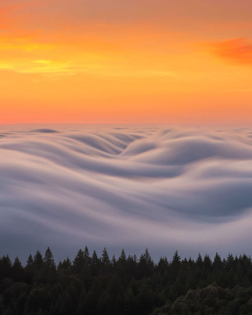 flowartstation: Fog waves: photographer Nick Steinberg captures...