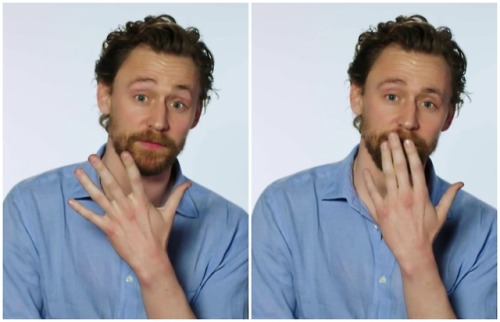 lolawashere:Tom Hiddleston, blue shirt, ginger beard,...