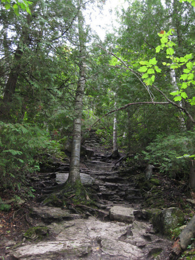 Cup And Saucer Trail Tumblr