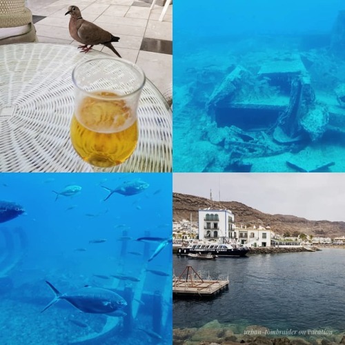 A pigeon who wanted my beer and a submarine that showed us fish...