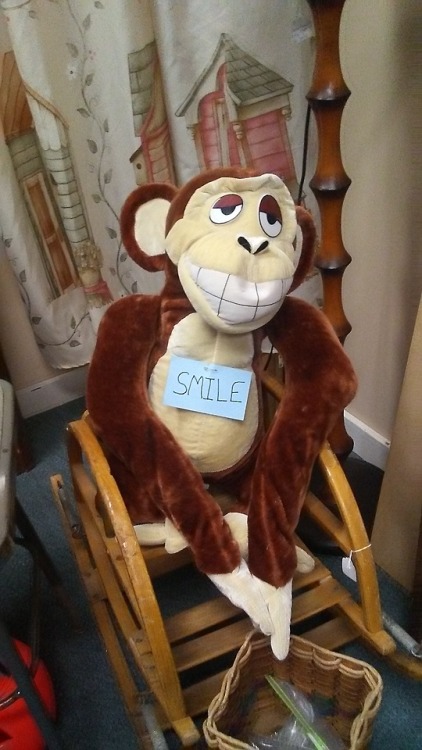 shiftythrifting:I present: a collection of weird monkeys I...