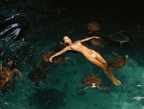 a-place-of-worship: FRIDA AASEN // CAMERON HAMMOND