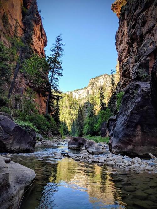 sgtgrunt0331:aiiaiiiyo:The Zion Narrows, UT [OC] [3024 X...