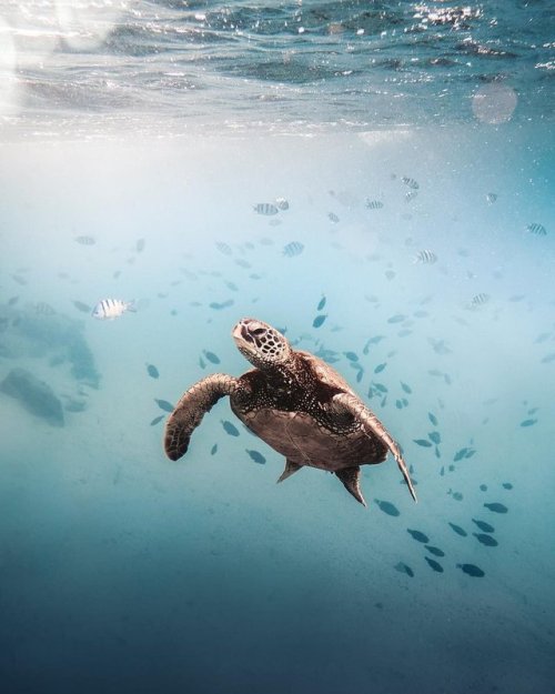 sandylamu:Lamu Island, Kenya. Photo Jemima Bornman Carr