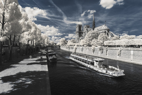 nevver:Paris Infrared, Pierre-Louis Ferrer