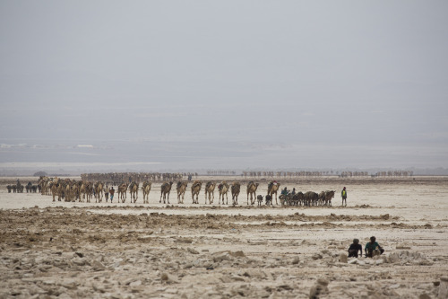 fotojournalismus:In the world’s hottest desert, mining and...