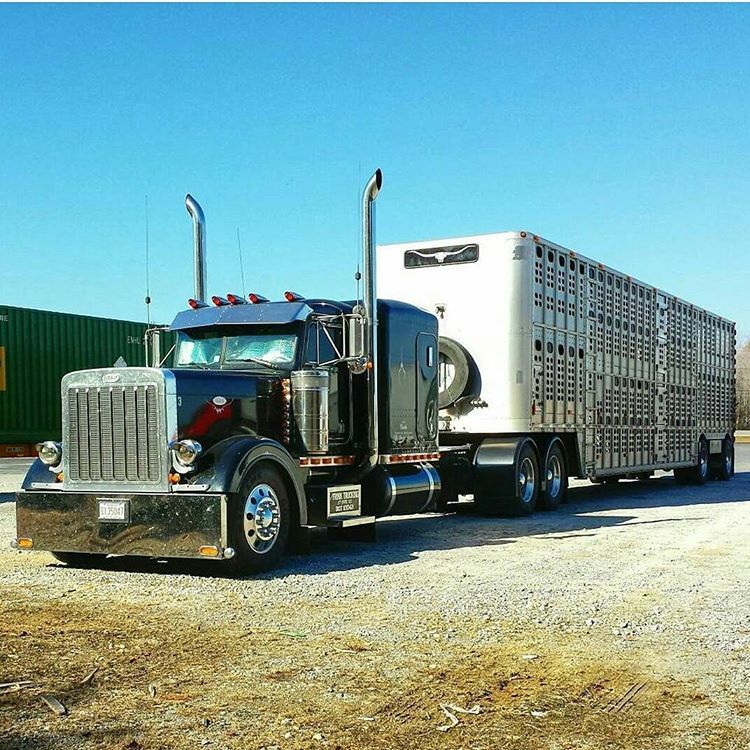 Semitrckn  Peterbilt  custom  379 bull  hauler