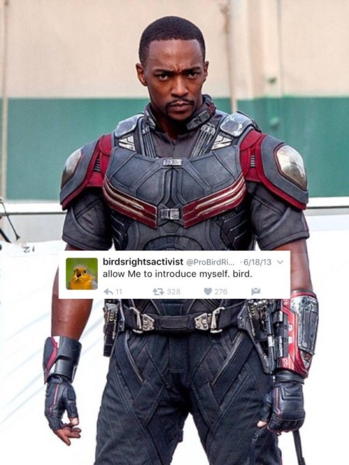 bert-and-ernie-are-gay:Sam Wilson x @ ProBirdRights...