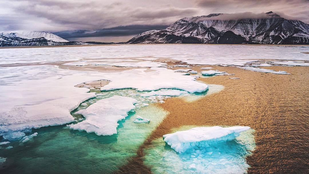 NY Through the Lens - New York City Photography - The Arctic. En route