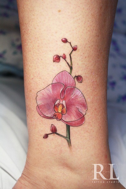 orchid tattoo on Tumblr