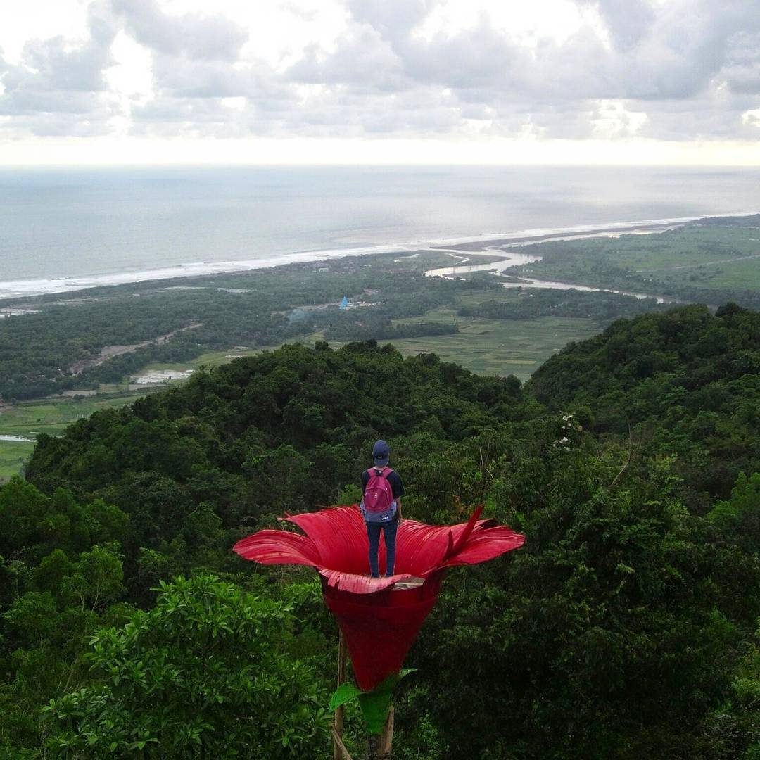 Bali Holiday Villas  Selfie Spot Bunga  Sepatu  Goa Jepang  