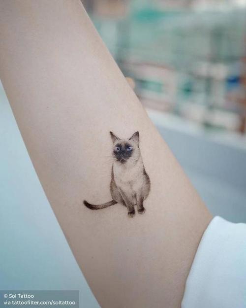 By Sol Tattoo, done in Seoul. http://ttoo.co/p/181778 small;pet;feline;single needle;animal;tiny;ifttt;little;inner forearm;soltattoo;cat