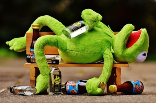 Kermit Drinking Tumblr   Tumblr P96ax3raVF1xn6dxpo1 500 