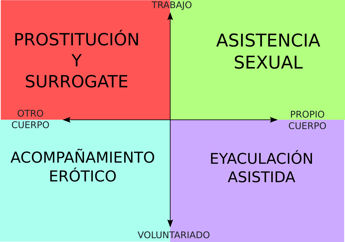 la erección es voluntariado