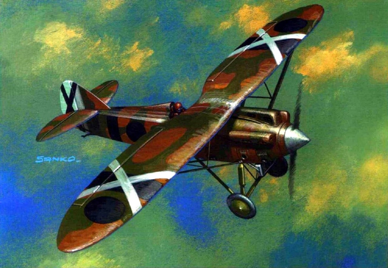 Pinturas Aviación II Guerra Mundial — PWS 10 Pavipollo - Wojciech Sankowski