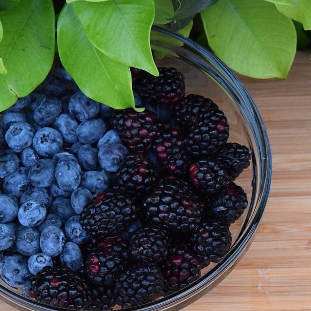 lablascovegmenu-cookbook: “ From @realisrad on Instagram: Yes | Blueberries + Blackberries ”