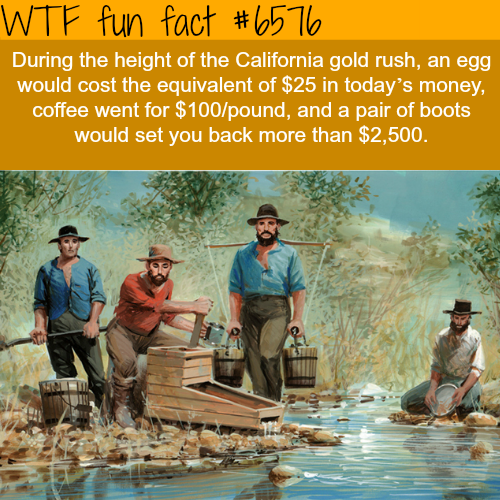 california-gold-rush-wtf-fun-facts