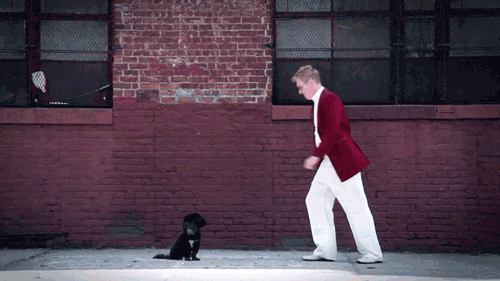 Chris Donahue — Hey, I made this gif of Bobby kicking a dog...