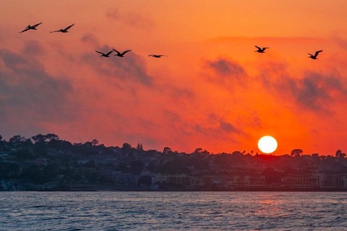 fabskies:Credit: @cburnhamphotosmore fab skies here ❤️