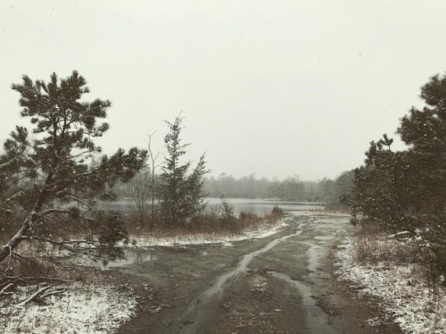 By Foot or By Canoe