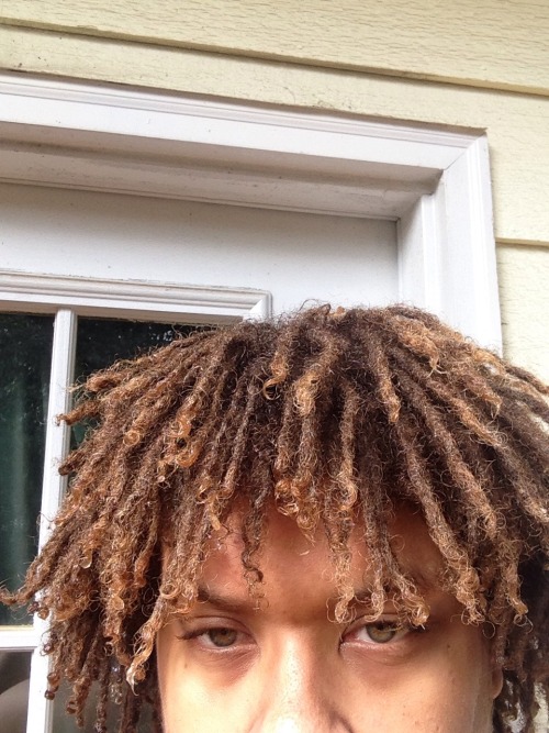 free-form-dreads-tumblr