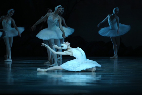 galina-ulanova:Oksana Skorik as Odette in Swan Lake (Mariinsky...