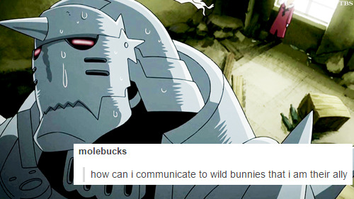 winnifredburkle:FMA + text posts: 1/¯\_(ツ)_/¯