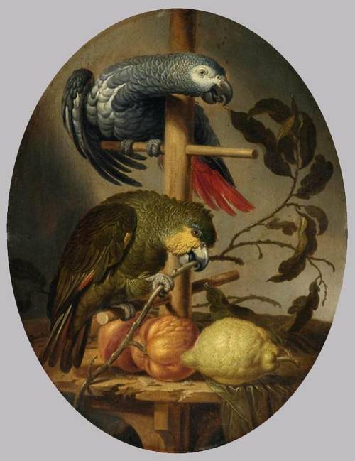 centuriespast:MERCK, Jacob Fransz. van derParrots-Oil on...