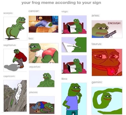 frog meme on Tumblr