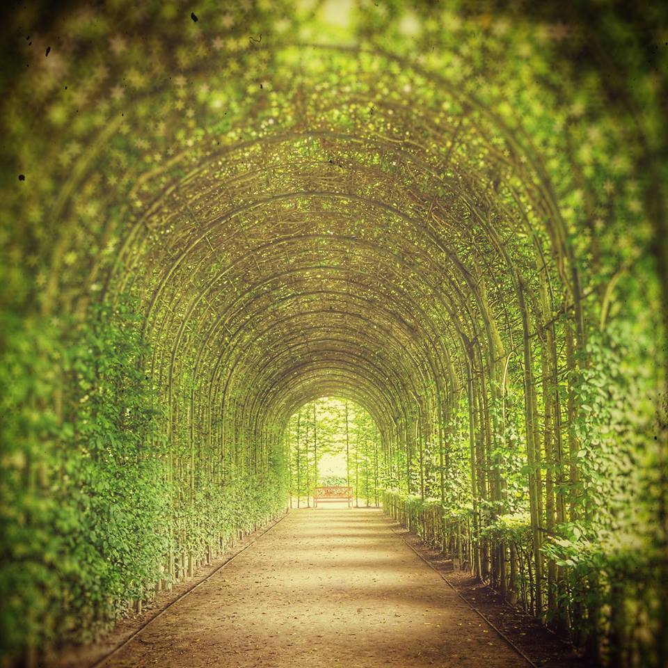 The Gryphon's Nest — Poison Garden At Alnwick Castle, England