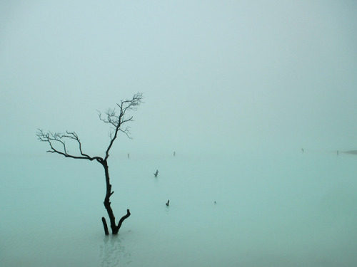 oviz:Kawah Putih