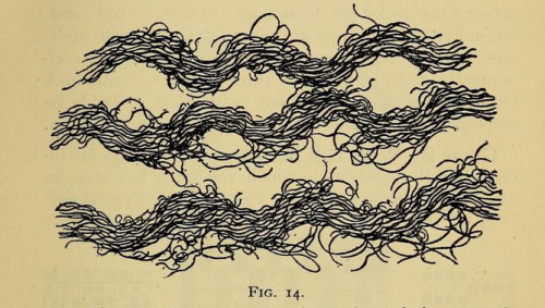 nemfrog:The analysis & reproduction of textile fabrics....