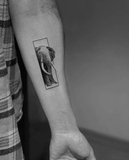 By Ali Anıl Erçel, done at Tattoom Gallery, Istanbul.... small;elephant;single needle;alianilercel;animal;tiny;ifttt;little;inner forearm;medium size