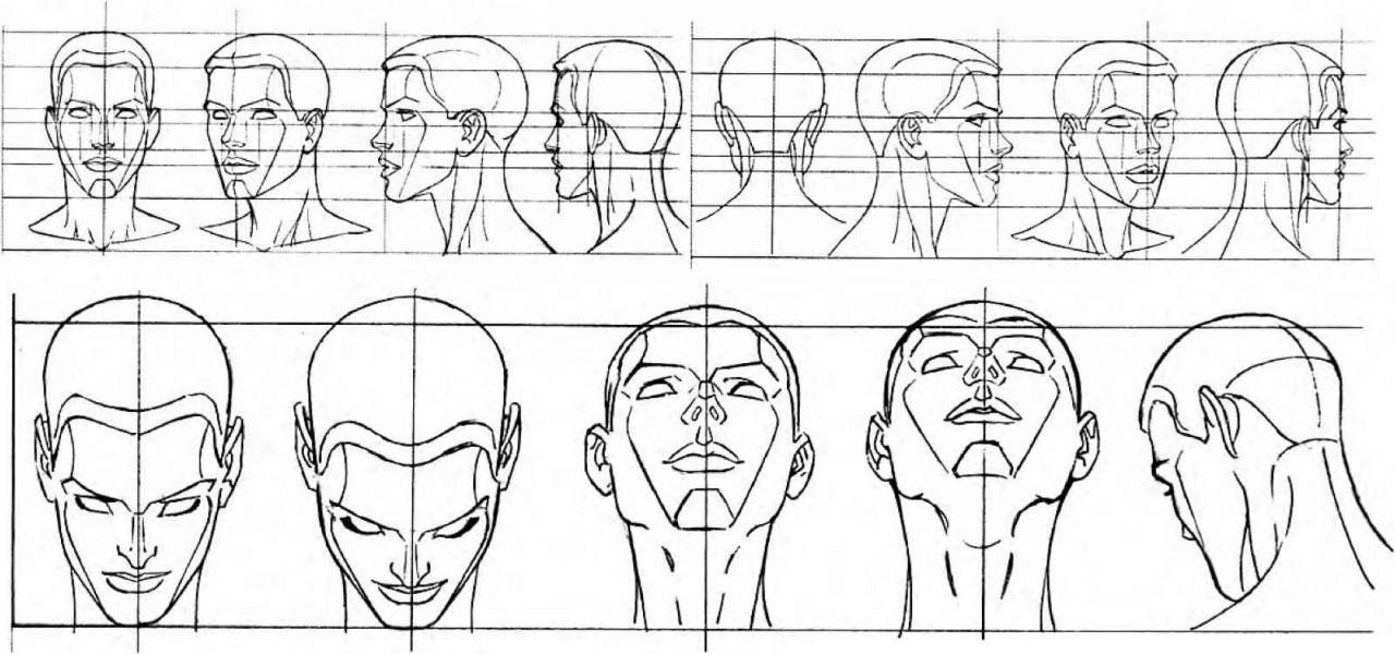 AnatoRef | Drawing the Head from Various Angles Top Image,...