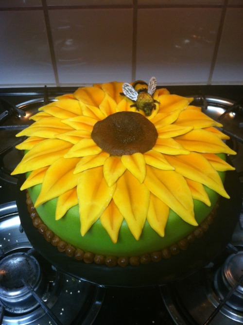 sunflowercake Tumblr