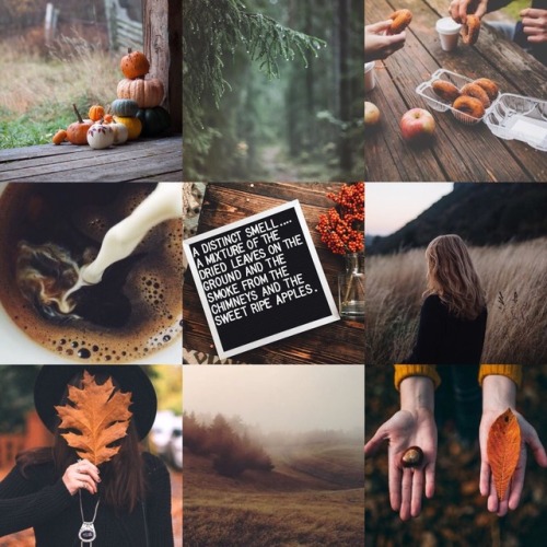 bitofwitch:// my soul longs for that first breeze of autumn