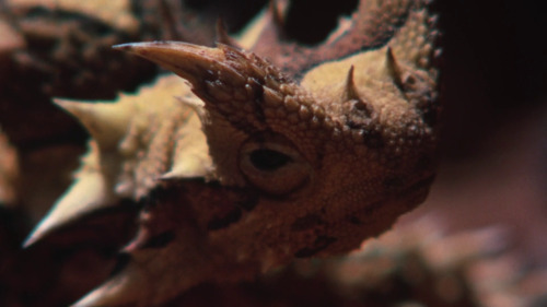 365filmsbyauroranocte