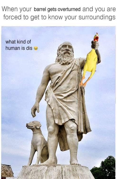 diogenes behold a man