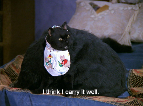 flexibilitas-cerea:Salem Saberhagen, everyone.