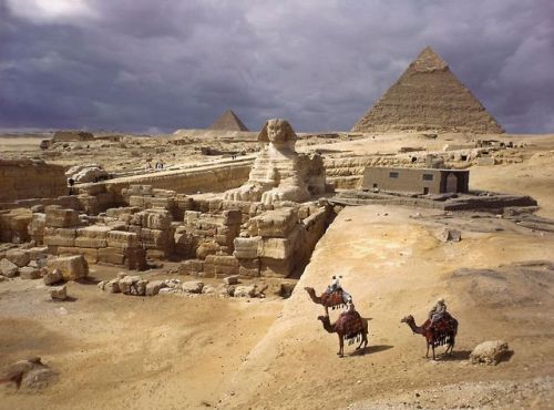 grandegyptianmuseum:The Pyramids of Giza and the Great...