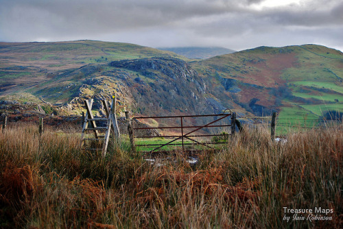 thefierybiscuit:Towards Moel Isallt