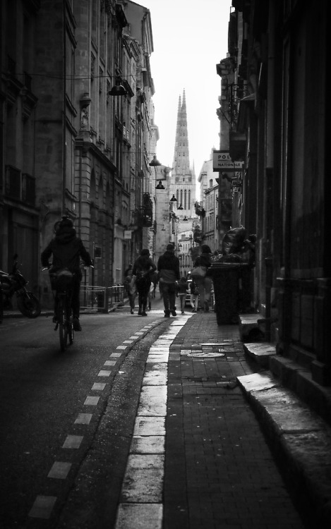 forthepleasureofmylife:Bordeaux AlleyPhoto: Dieter Krehbiel