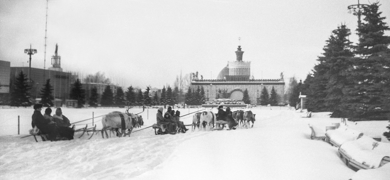 Reindeer sled rides at VDNKh in Moscow (1979)