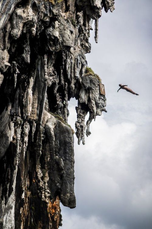 let-s-build-a-home:Red Bull Cliff Diving World Series in Phi...