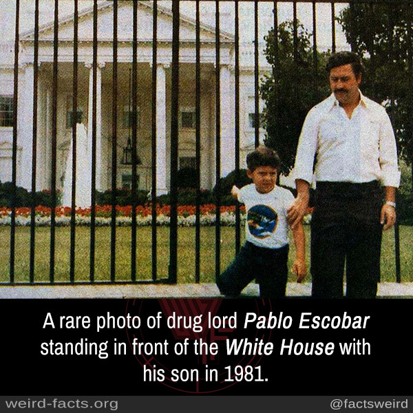 Pablo Escobar Standing In Front Of The White House - House Poster