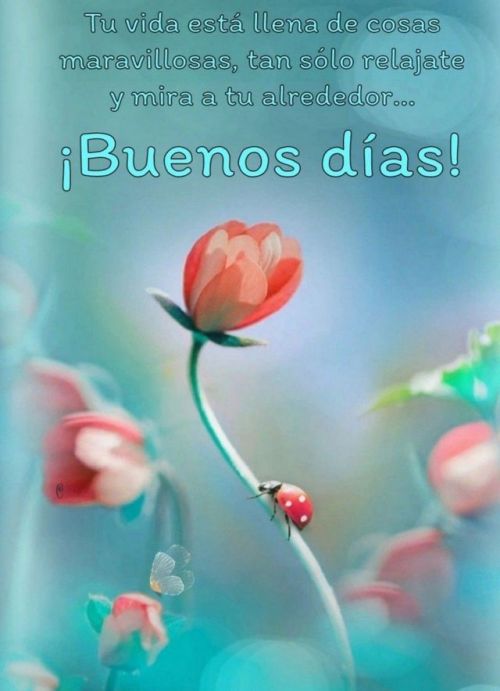 Postal Gratis Buenos Dias Imagenes Y Frases