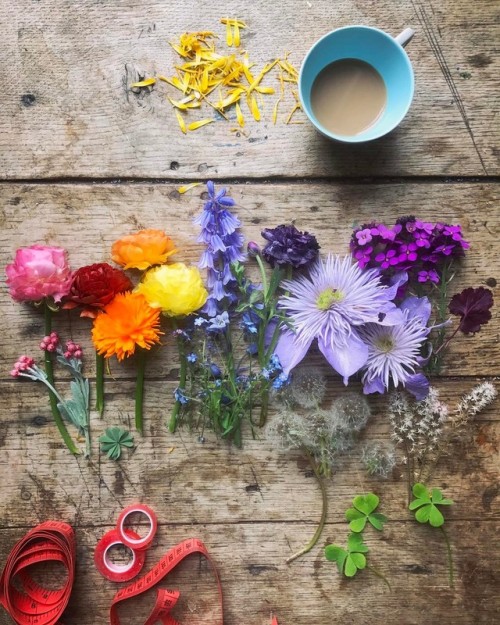 sosuperawesome:Philippa Stanton on InstagramFollow So Super...