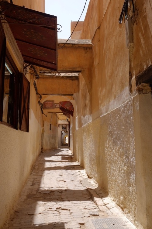 constancecervonelyricvision:Closer and closerFes Medina,...