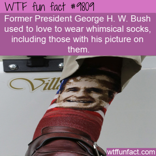 Funny Fact: Former President George H. W. Bush used to love to wear whimsical socks, including those with his picture on them. 